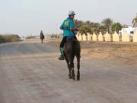 /international/2006Walvisbay/images/Final/thumbnails/final 041.jpg